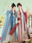 Tangdynastin Hanfu Broderad Qixiong Ruqun Set-1