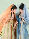 Tangdynastin Hanfu Broderad Qixiong Ruqun Set-1