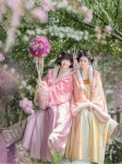 Tang Dynasty Hanfu Qixiong Ruqun Set with Famen Temple Cloak (4)