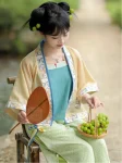 Song Dynasty Hanfu Layered Camisole Loquat Journey (2)