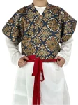 Tang Dynasty Cross-Collar Brocade Half-Sleeve Hanfu Top-1