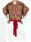 Tang Dynasty Cross-Collar Brocade Half-Sleeve Hanfu Top-1