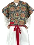 Tang Dynasty Cross-Collar Brocade Half-Sleeve Hanfu Top-1