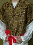 Tangdynastie Hanfu Brokaat Kraag Unisex-1