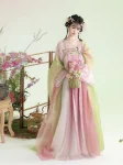 Tang Dynasty Embroidered Qixiong Ruqun Set-5