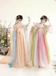 Tang Dynasty Embroidered Qixiong Ruqun Set-5