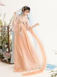 Tang Dynasty Embroidered Qixiong Ruqun Set-5