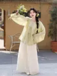 Ming Dynasty Round Collar Shirt Pleated Skirt-1